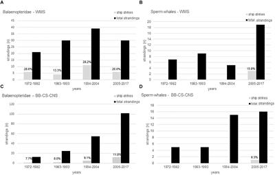 Monitoring of Marine Mammal Strandings Along French Coasts Reveals the Importance of Ship Strikes on Large Cetaceans: A Challenge for the European Marine Strategy Framework Directive